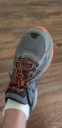 1559496206502891041782316867481