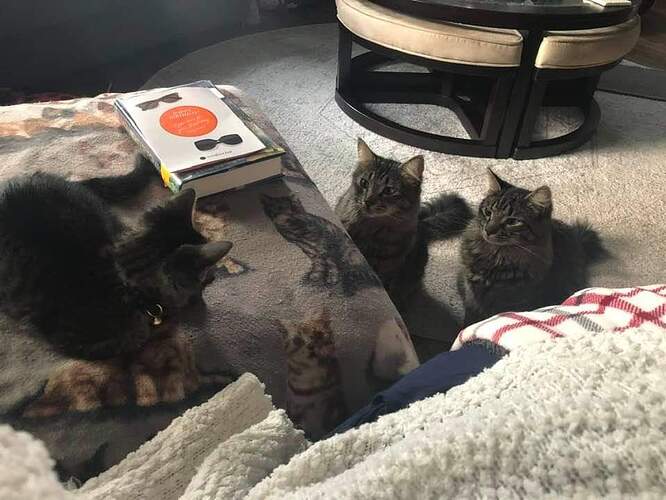 FB_IMG_1625082722676