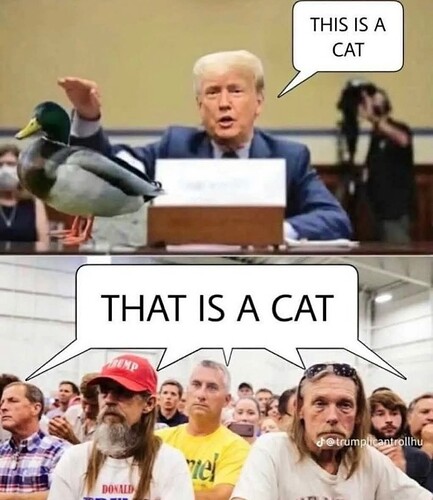 1000016078