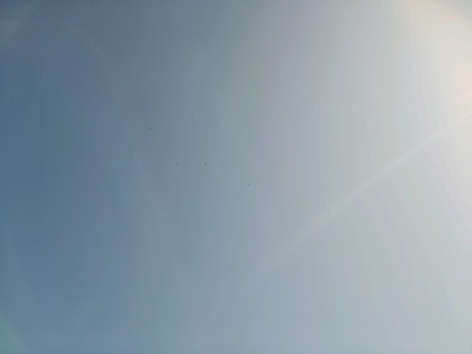 1000001784