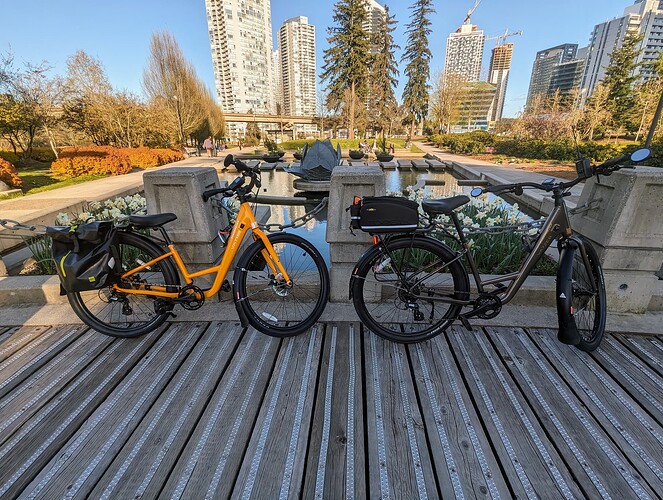 PXL_20240413_010642596.NIGHT