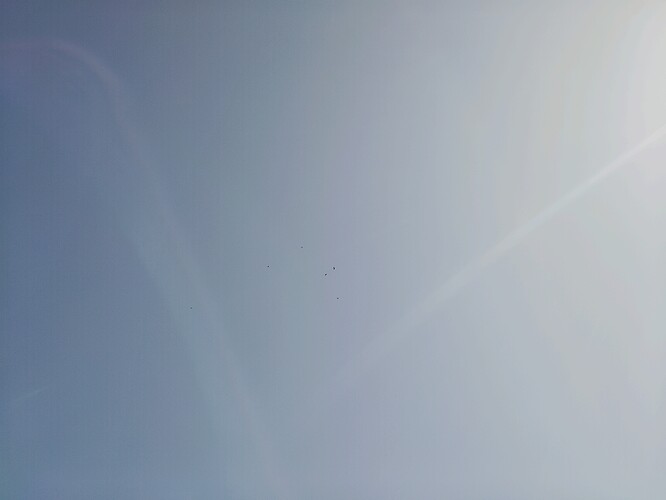 1000001785