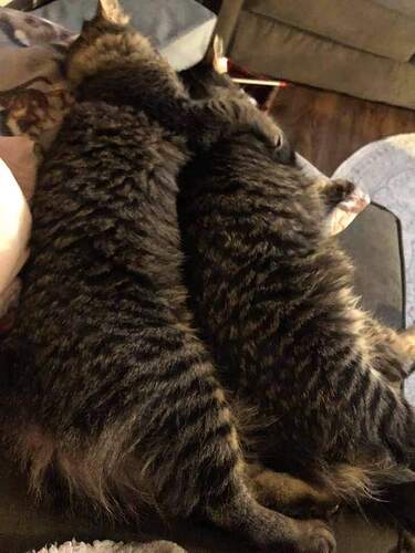 FB_IMG_1613430825396