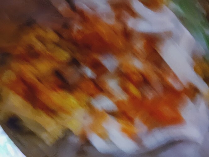 1000002224