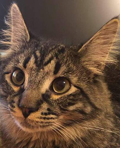 FB_IMG_1615328500285