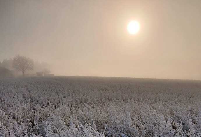IMG-20241229-WA0041