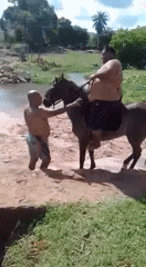 fathorse