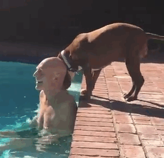 patrick-stewart-new-foster-dog-ginger-9
